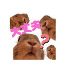 うさぎのぴょん太No.1（個別スタンプ：18）