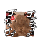 うさぎのぴょん太No.1（個別スタンプ：28）