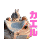 うさぎのぴょん太No.1（個別スタンプ：30）