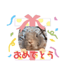 うさぎのぴょん太No.1（個別スタンプ：38）
