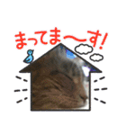 ねこねここころ 1（個別スタンプ：27）