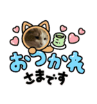 ねこねここころ 1（個別スタンプ：33）