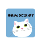 ねこず壱（個別スタンプ：12）