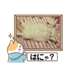 ねこねここころ 2（個別スタンプ：22）