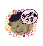 ねこねここころ 2（個別スタンプ：32）