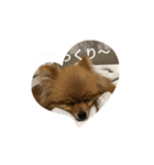 つぶやきココちゃん2（個別スタンプ：4）