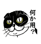 猫の一生懸命 修正版（個別スタンプ：8）