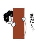 猫の一生懸命 修正版（個別スタンプ：21）