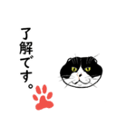 猫の一生懸命 修正版（個別スタンプ：22）