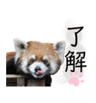 市川市動植物園スタンプ（個別スタンプ：2）