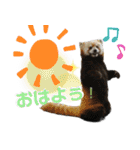 市川市動植物園スタンプ（個別スタンプ：4）