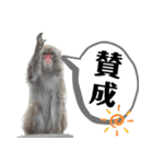 市川市動植物園スタンプ（個別スタンプ：5）