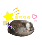 市川市動植物園スタンプ（個別スタンプ：8）