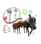 市川市動植物園スタンプ（個別スタンプ：9）