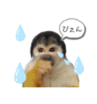 市川市動植物園スタンプ（個別スタンプ：25）
