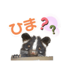 市川市動植物園スタンプ（個別スタンプ：37）