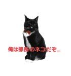 塗装猫形部（個別スタンプ：1）