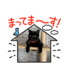 塗装猫形部（個別スタンプ：20）