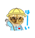 塗装猫形部（個別スタンプ：22）