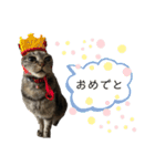 こまさとこてつ2（個別スタンプ：9）