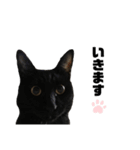 こまさとこてつ2（個別スタンプ：16）