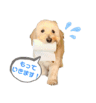 のぶくん家（個別スタンプ：1）