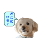 のぶくん家（個別スタンプ：2）