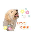 のぶくん家（個別スタンプ：21）