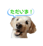 のぶくん家（個別スタンプ：22）