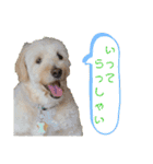 のぶくん家（個別スタンプ：23）
