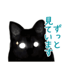 可愛い猫トリオ【三毛＆黒＆ハチワレ】（個別スタンプ：30）