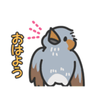 身近な野鳥たち！表情豊かなスタンプ（個別スタンプ：6）