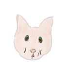 可愛いめちゃ|| 猫Daily Life Emoji（個別スタンプ：7）