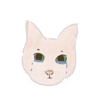 可愛いめちゃ|| 猫Daily Life Emoji（個別スタンプ：8）