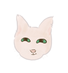 可愛いめちゃ|| 猫Daily Life Emoji（個別スタンプ：9）