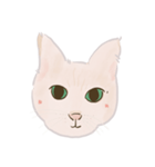 可愛いめちゃ|| 猫Daily Life Emoji（個別スタンプ：10）