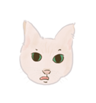 可愛いめちゃ|| 猫Daily Life Emoji（個別スタンプ：11）