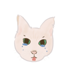 可愛いめちゃ|| 猫Daily Life Emoji（個別スタンプ：21）