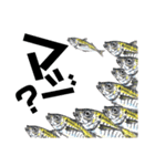 ワイルドfish（個別スタンプ：6）