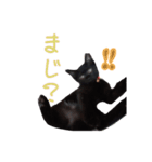 黒猫マメちゃん（個別スタンプ：4）