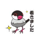 文鳥のちゅんちゅん3（個別スタンプ：3）