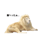 シュール(ANIMAL)（個別スタンプ：1）