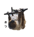 シュール(ANIMAL)（個別スタンプ：4）