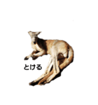シュール(ANIMAL)（個別スタンプ：7）