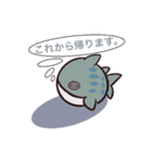 sharkさん（個別スタンプ：5）