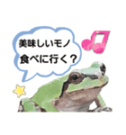 野生のカエル5【鼓舞する会話】（個別スタンプ：21）