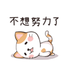 ココねこの怠惰な生活（個別スタンプ：14）