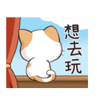 ココねこの怠惰な生活（個別スタンプ：17）