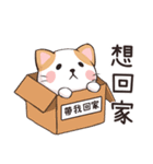 ココねこの怠惰な生活（個別スタンプ：19）