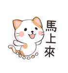 ココねこの怠惰な生活（個別スタンプ：27）